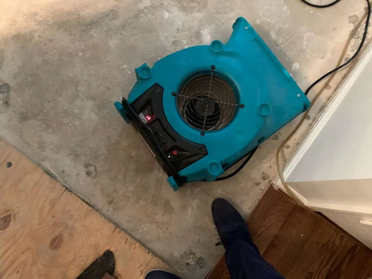 Air mover drying subfloor during Commercial Water Damage Restoration in Cambridge